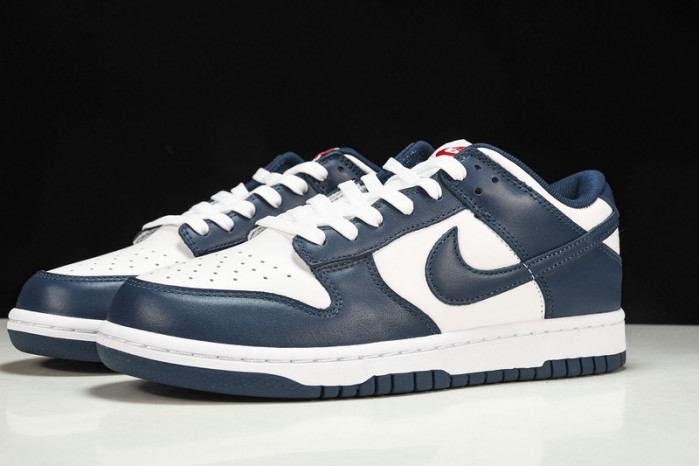 Dunk Low Valerian Blue - DD1391-400