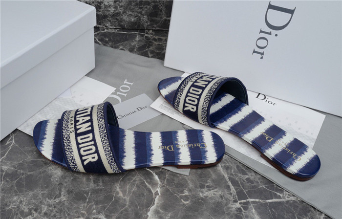 D1R* SLIDE copshoe  DR-212