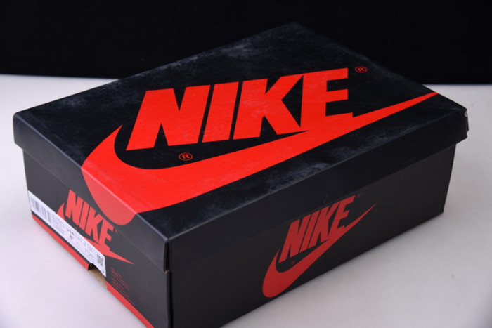 AIR JORDAN 1 HIGH OG “POLLEN” 555088-701