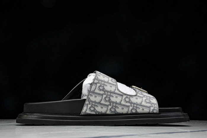 D1R* SLIDE copshoe  DR-SLIDE 014