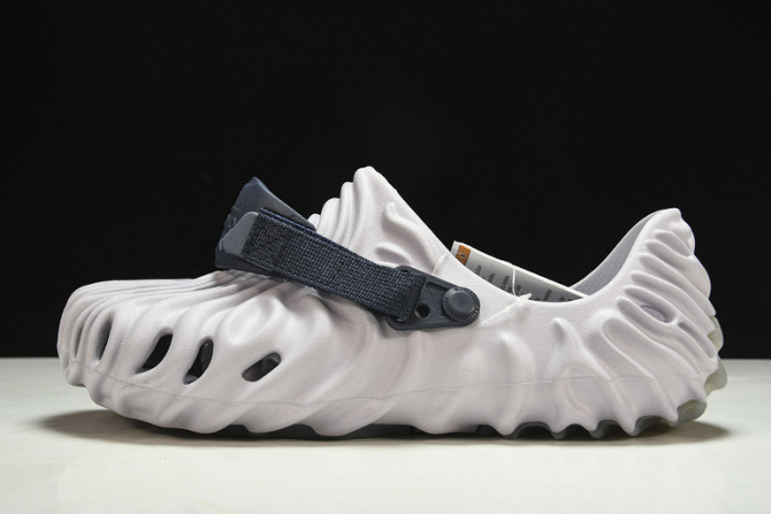 Cr*0*s pollex slide  cp -02