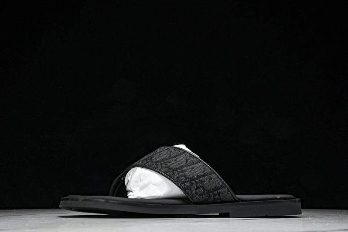 D1R* SLIDE copshoe  DR-SLIDE 017