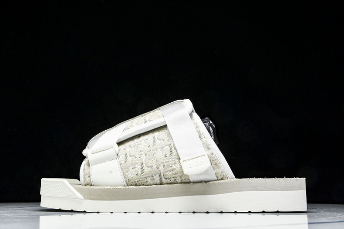 D1R* SLIDE copshoe  DR-SLIDE 019