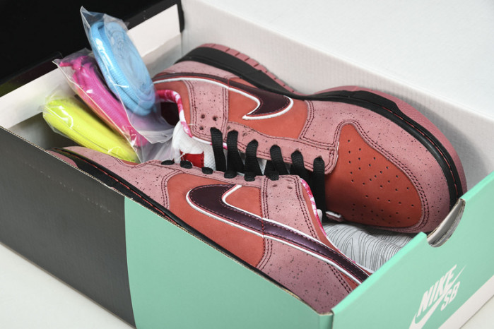 Nike SB Dunk Low Concepts Red Lobster  313170-661