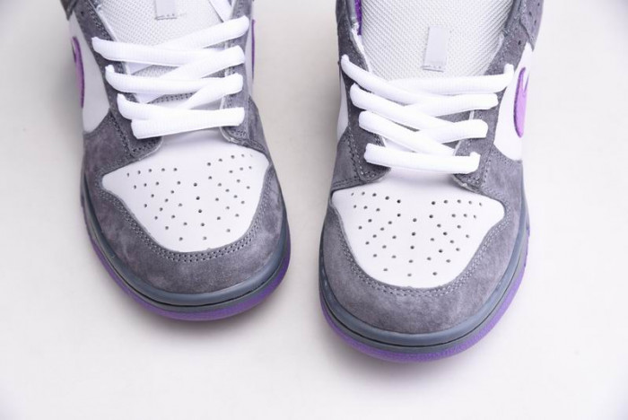 NIKE DUNK SB LOF PURPLE PIGEON 304292-051