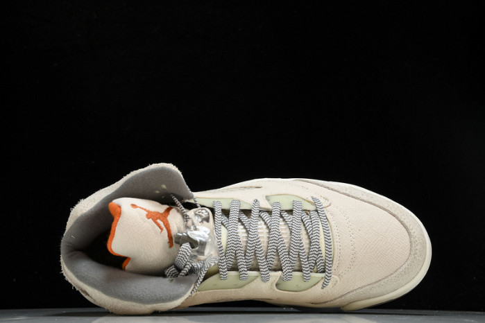 Air Jordan 5 Retro SE 