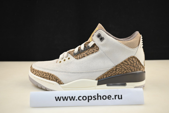 Air Jordan 3 Palomino CT8532-102