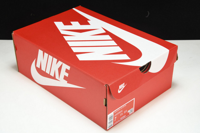 Nike Dunk Low Judge Grey - DJ6188-200