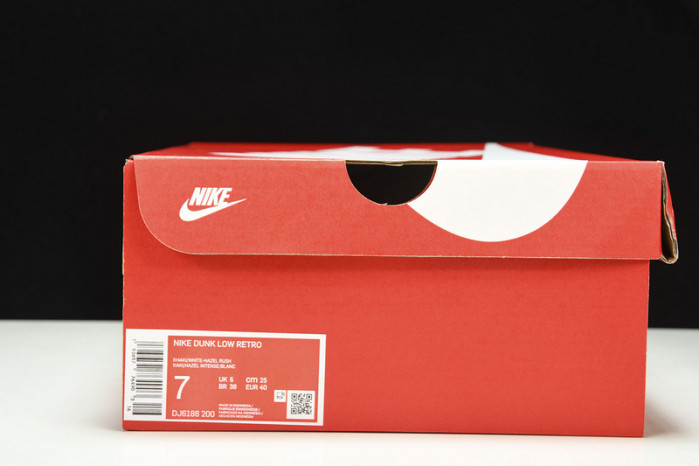 Nike Dunk Low Judge Grey - DJ6188-200